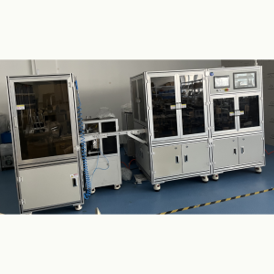 Automatic Assembling and Pouching Machine AP3000