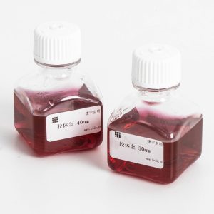 Chemical Reagents