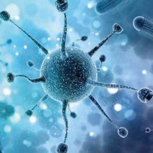 Antibody Series