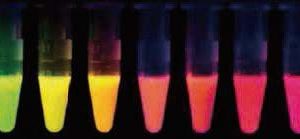 Fluorescent Microspheres